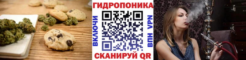 купить наркотики сайты  Гуково  Canna-Cookies конопля 