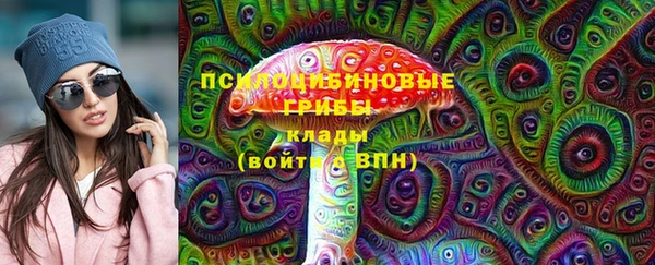 гидра Балахна