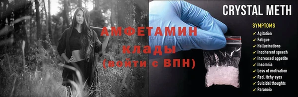 шишки Арсеньев
