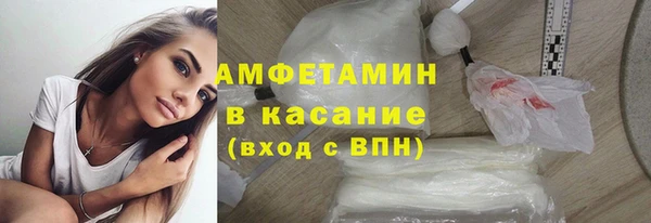 шишки Арсеньев