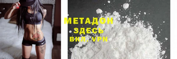 шишки Арсеньев