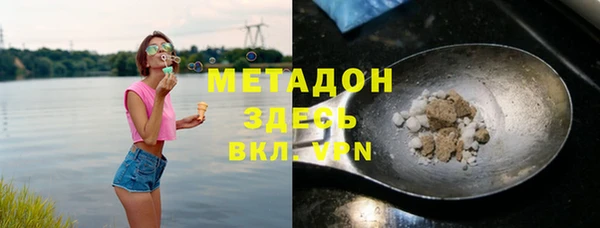 шишки Арсеньев
