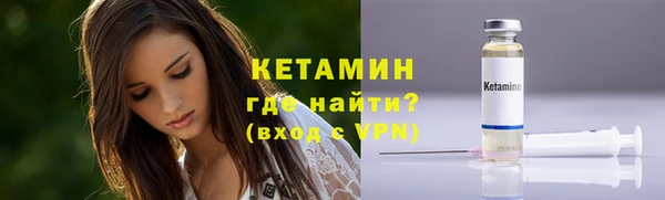 шишки Арсеньев