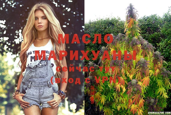 шишки Арсеньев