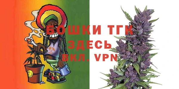 шишки Арсеньев