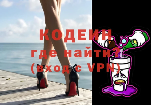 шишки Арсеньев