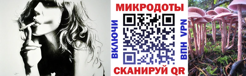 Галлюциногенные грибы Cubensis  купить закладку  Гуково 
